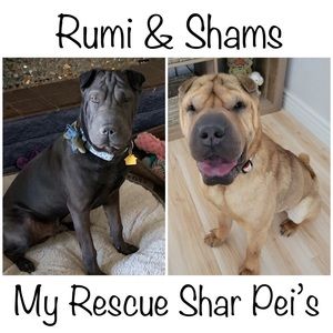 My Kids are Big Boys Now!